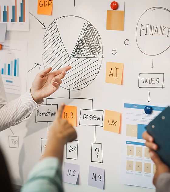 Startups creativas y proyectos digitales